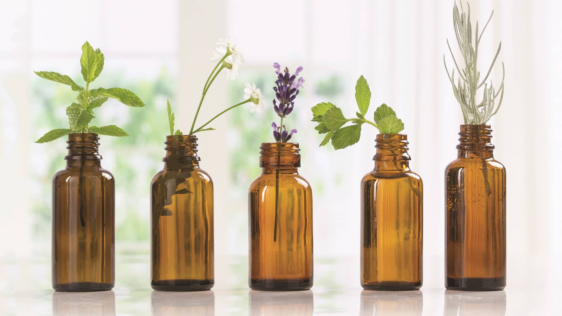 What Is The Best Brand Of Essential Oils?